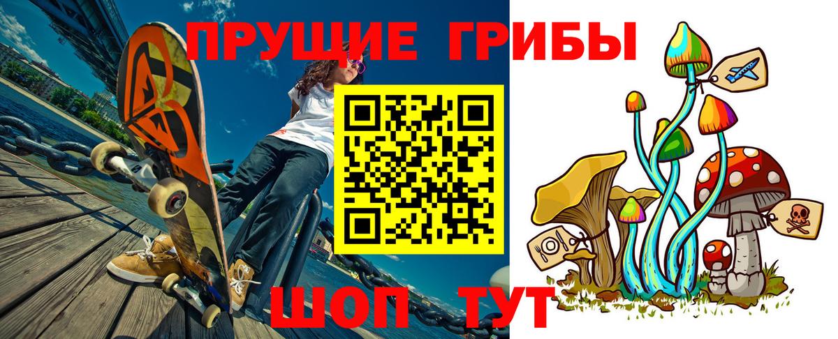 Галлюциногенные грибы Psilocybe  Вход с VPN  Киров 